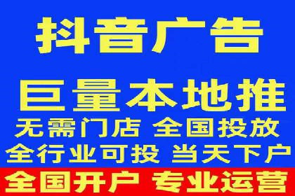 某电商平台的SEM广告投放策略及效果评估